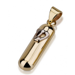 14k Yellow Gold Rounded Mezuzah Pendant with Hebrew Shin in Shiny White Gold  Bijoux Juifs