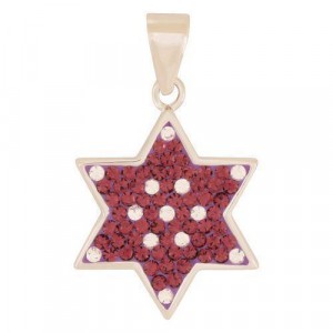 Rhodium Plated Star of David Pendant with Zircons and Amethysts Marina Jewelry