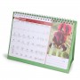 2019-2020 Flowers of Israel Desktop Calendar