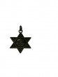 Brass Star of David Pendant with IDF Insignia and Hebrew and English Text