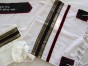 Tallit with Colorful Stripes by Galilee Silks